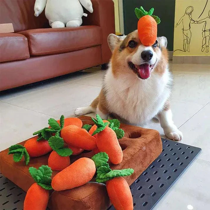 Carrot Patch™ - Interactive Dog Toy - Puptex Store