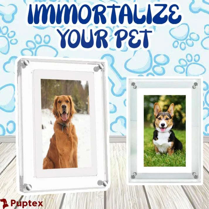 Pup Frame™ - Digital Memory Frame - Puptex Store