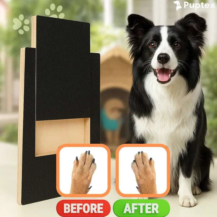 SmoothPaws™ Nail Filing Board - Puptex Store
