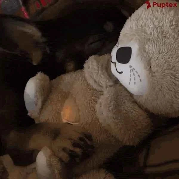 Breathing Otter™ - Separation Anxiety Toy
