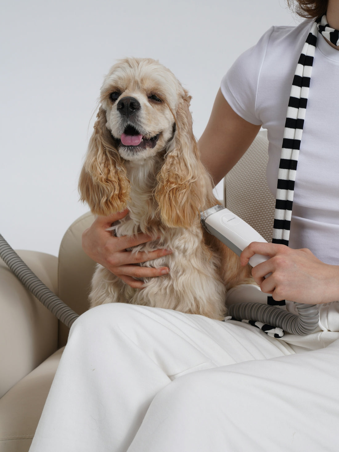 A woman is brushing her dog's hair with a hair dryer