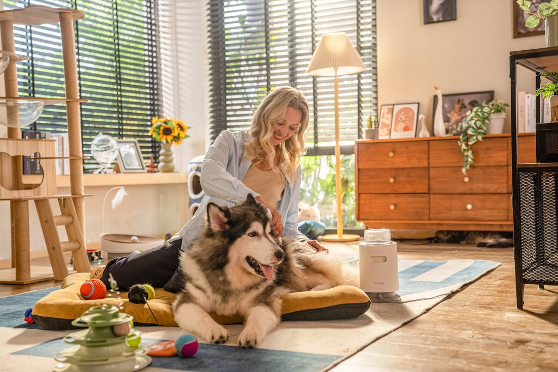 A woman sitting on the floor with two dogs