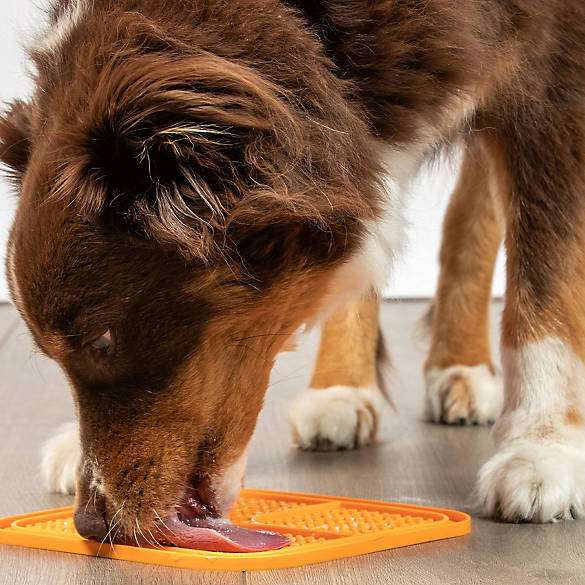 Licky Pad Licky Pad™ - Slow Feeder – Puptex Store