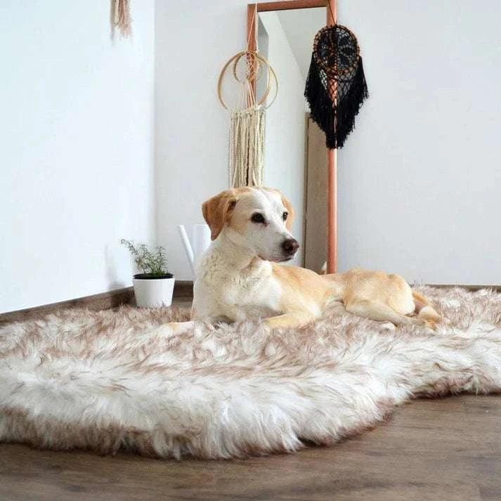 Mr. Lush - Faux Fur Orthopedic Bed - Puptex Store