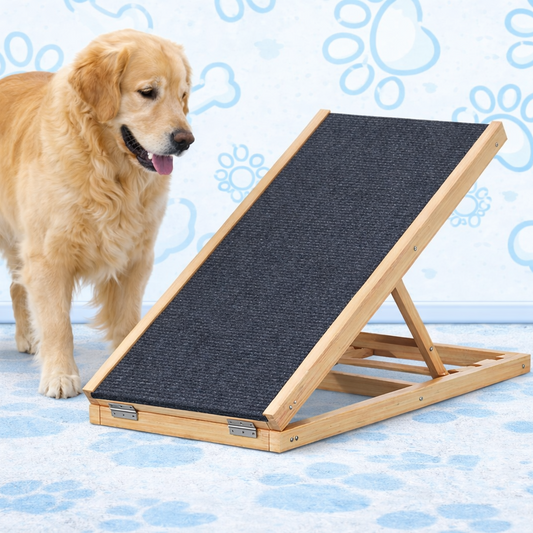 Dog Ramp