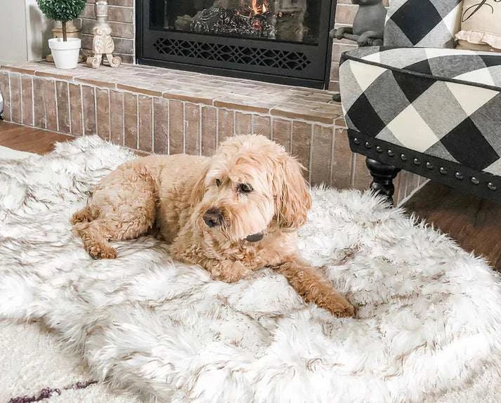 Mr. Lush - Faux Fur Orthopedic Bed - Puptex Store