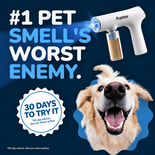 Puptex pet odor remover gun with enzyme mist sprayer displayed above a happy golden retriever, designed to help tackle stubborn dog odors in the home.