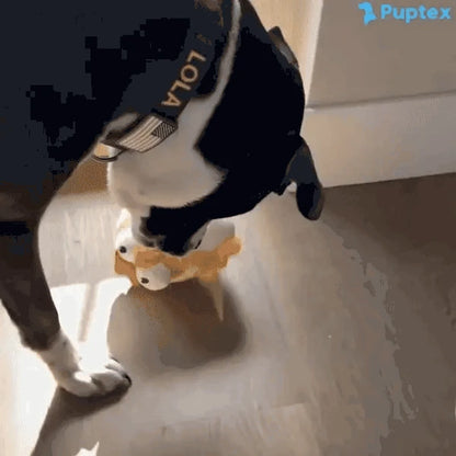 Crazy Chicken™ - Interactive Dog Toy - undefined
