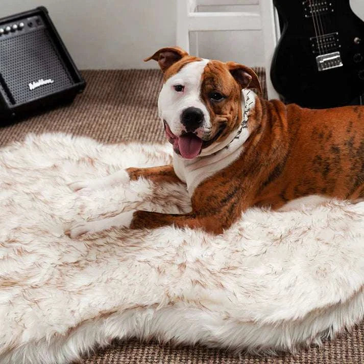 Mr. Lush - Faux Fur Orthopedic Bed - Puptex Store