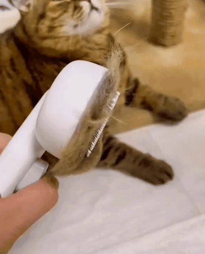 Furly™ - Fur Brush - Puptex Store