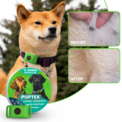 Puptex ™ 12 Months Flea and Tick Free
