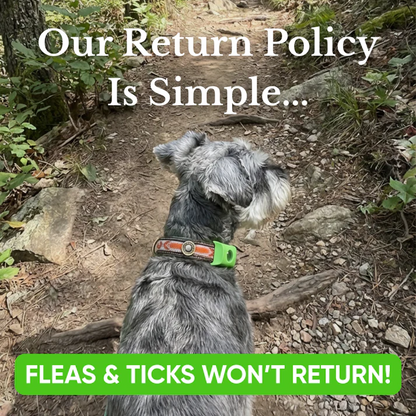 Puptex ™ 12 Months Flea and Tick Free