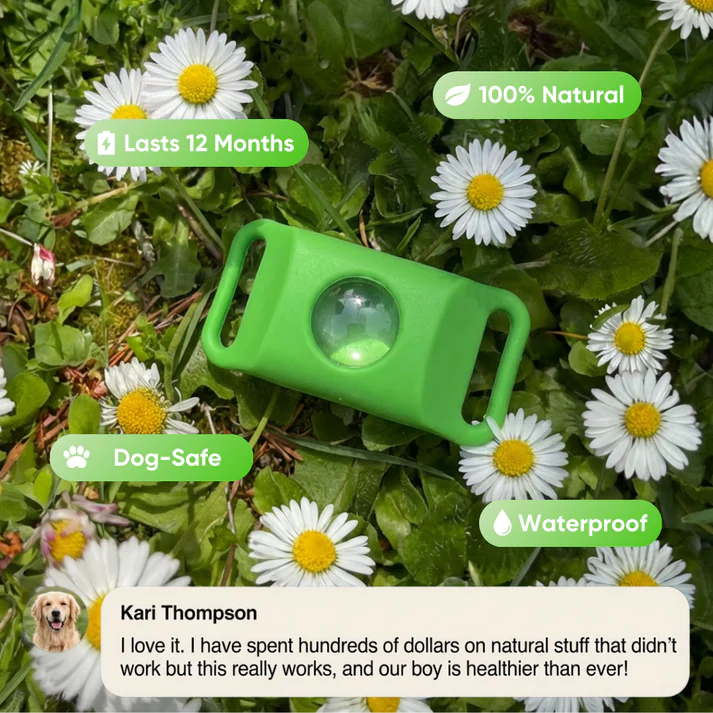 Puptex ™ 12 Months Flea and Tick Free
