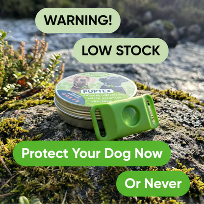 Puptex ™ 12 Months Flea and Tick Free