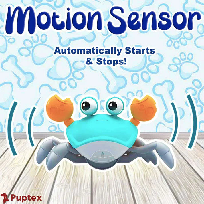 Crawling Crab™ - Interactive Dog Toy